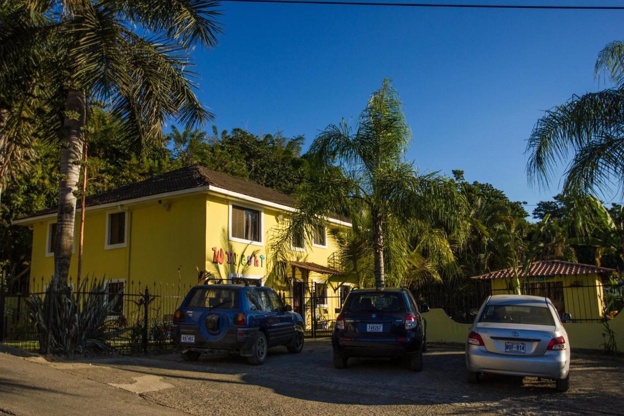 Wipeout Hostel Jacó Eksteriør bilde